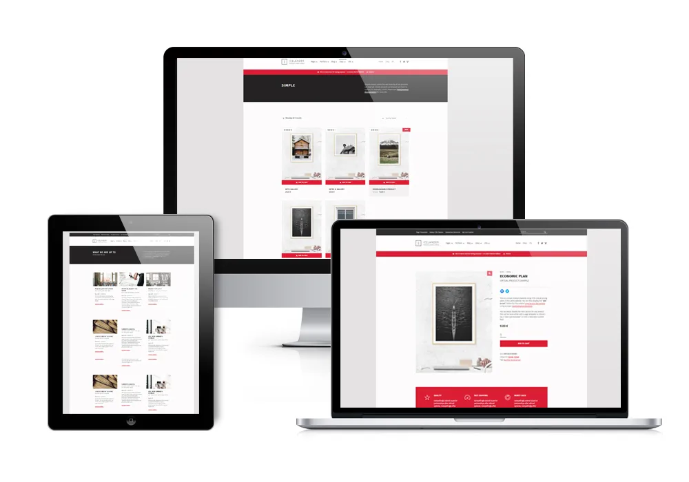 Web-eShop - La solution e-commerce complète