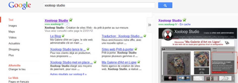 Google n'aime pas Flash